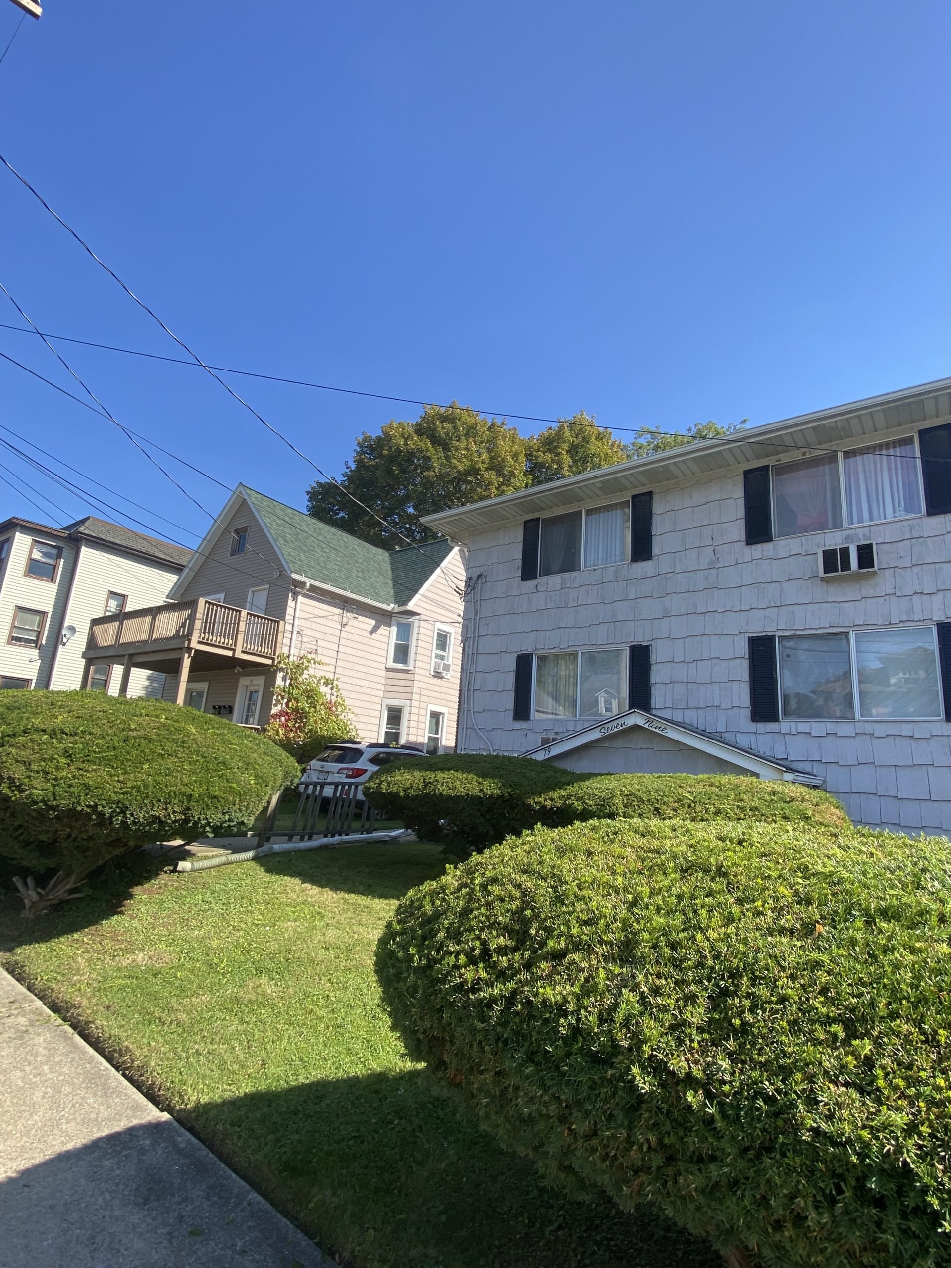 Bushes_Hedge_Trimming